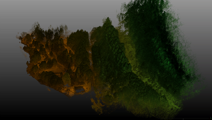 Kemnore Drummond Hill Lidar view including trees