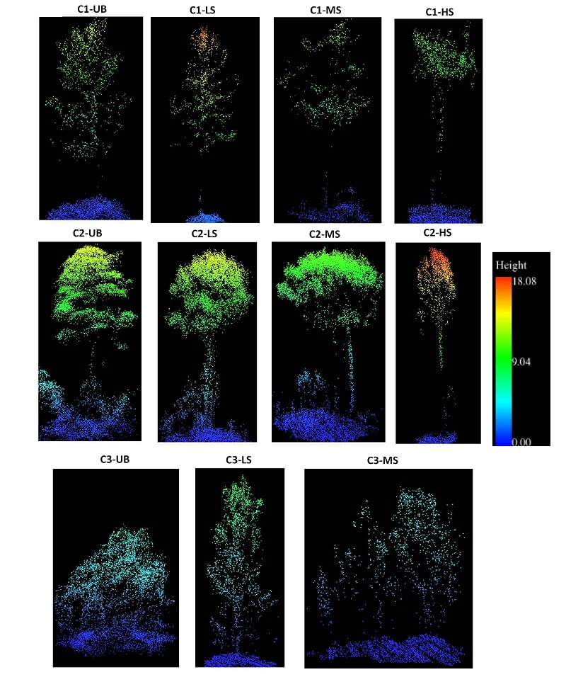 Point clouds of individual trees categorized by fire severity levels