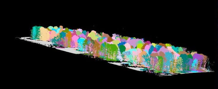 Forest LiDAR scan classified