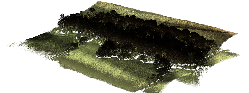 Routescene UAV LiDAR Barnsley forest with trees