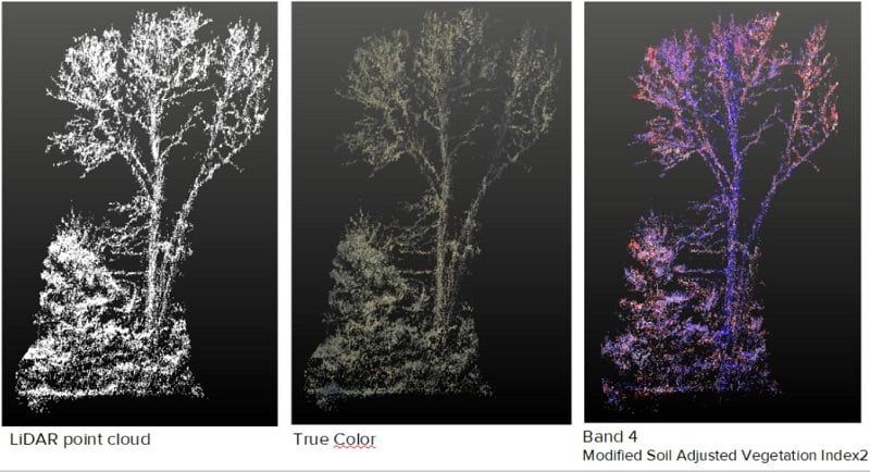 Outputs from the different imaging techniques used - LiDAR, True Color (RGB) and different bands of Multispectral